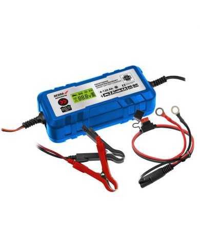 Pametni polnilnik DEPM010