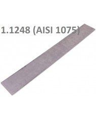 1095 / 1.1274 - 1000x50x3,5mm