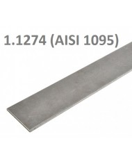 1095 / 1.1274 - 1000x50x3,5mm