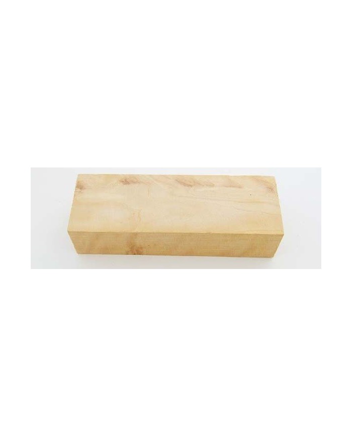 Navadna breza (Betula Pendula)